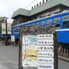 Wutaochishangfanbao (taidongchishang) User Photo