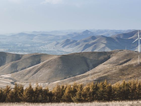 Bashang Grasslands