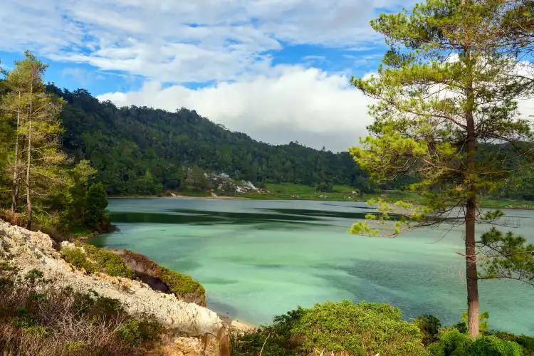 Hotels in South Tomohon