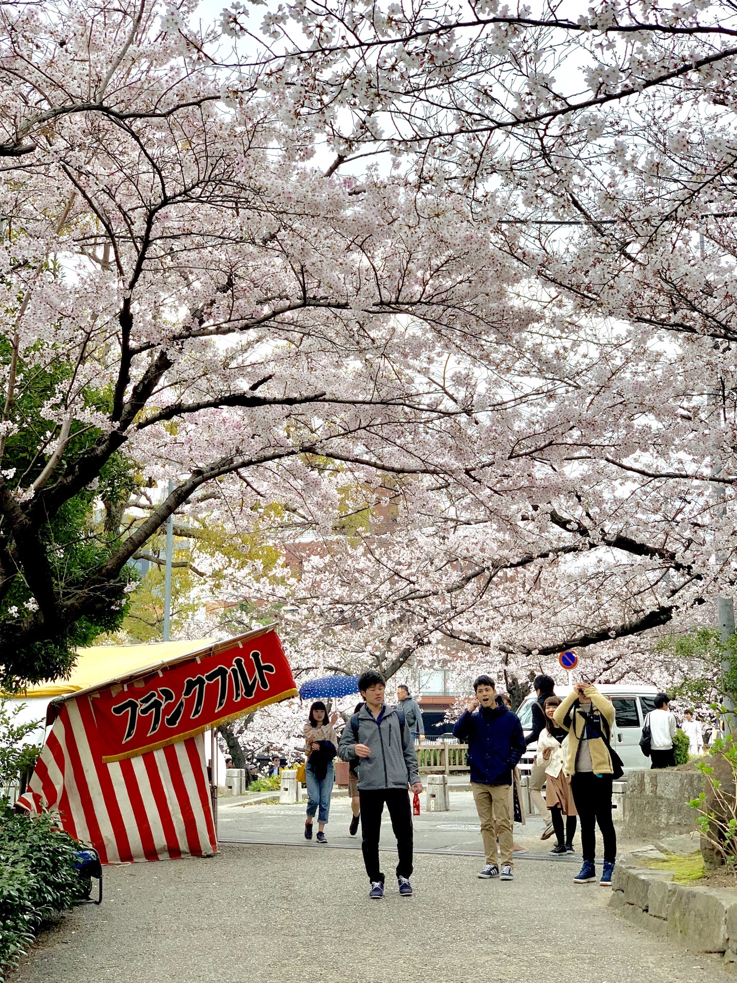 鶴舞公園旅遊攻略指南 鶴舞公園評價 鶴舞公園附近推薦 Trip Com