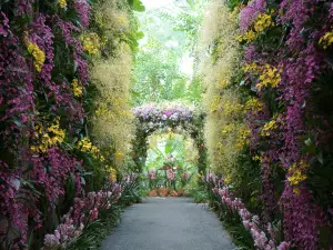 高知県立牧野植物園