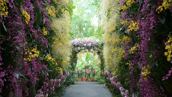 The Kochi Prefectural Makino Botanical Garden
