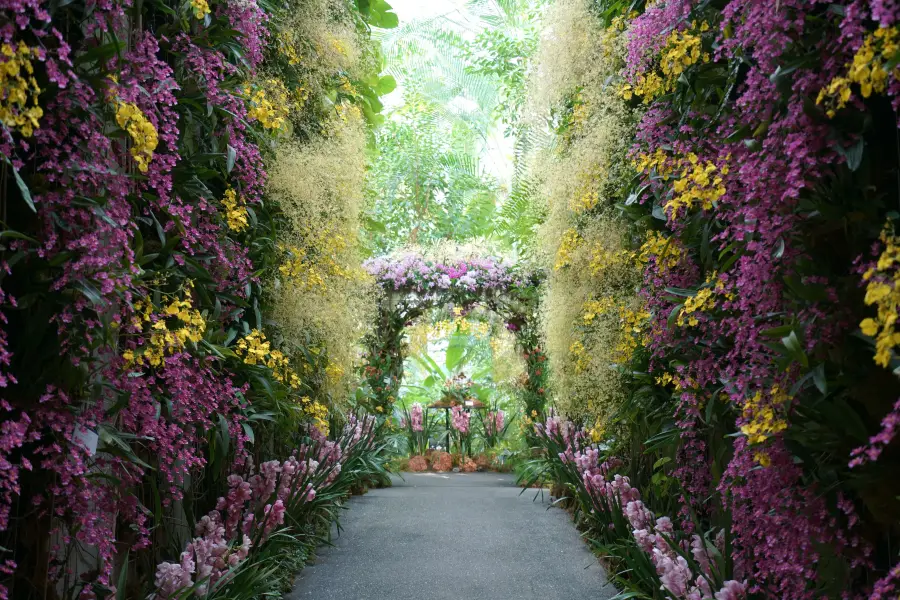 高知縣立 牧野植物園