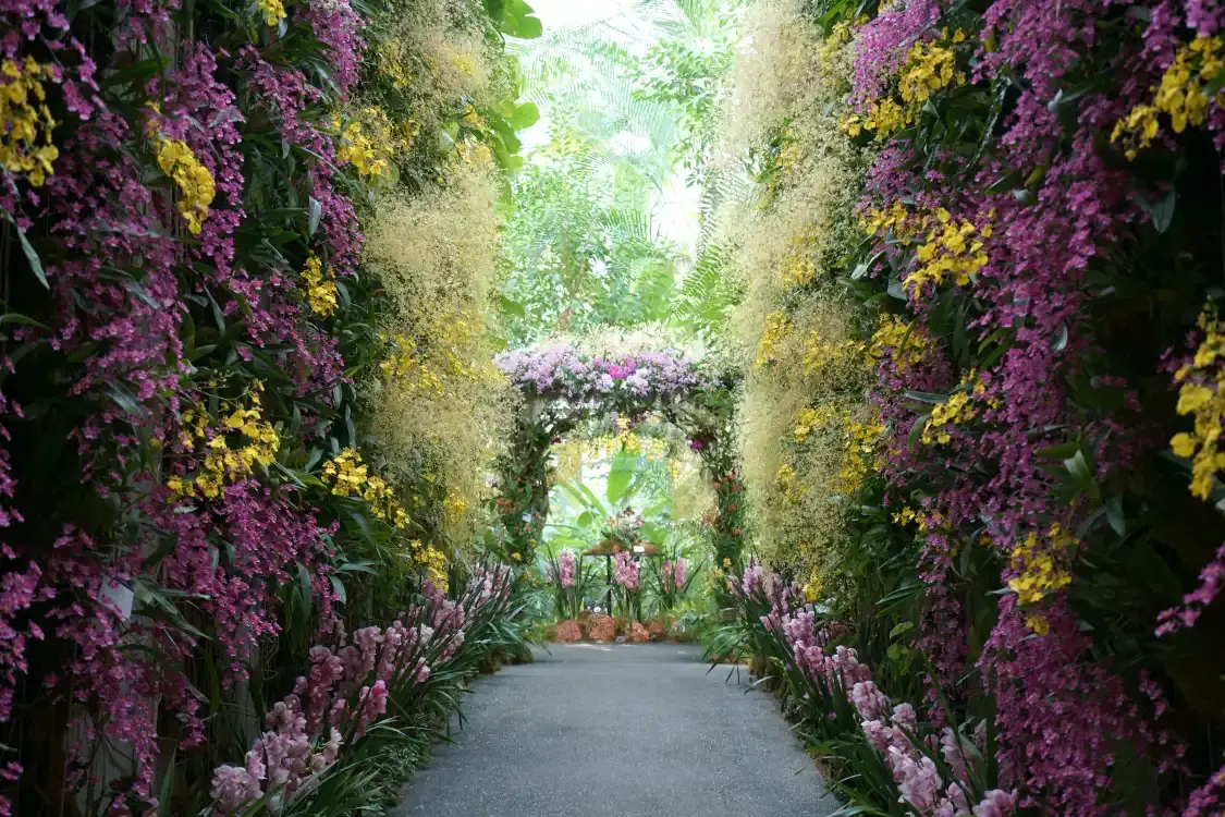 Hotels near The Kochi Prefectural Makino Botanical Garden