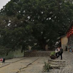 云水谣农家轩美食馆 User Photo