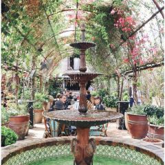 The Grounds of Alexandria User Photo