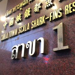 China Town Scala Shark Fins User Photo