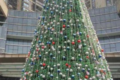 Zhouhei Duck (manhadunguangchang)