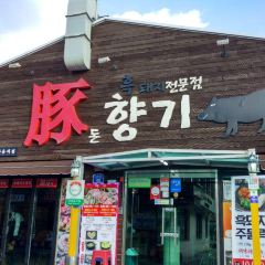 Donhyanggi User Photo