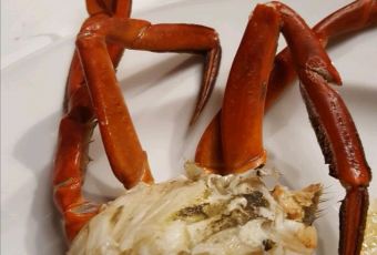 Lemon Garden 2Go User Photo