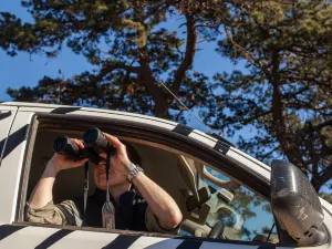 Australian Wildlife Viewing