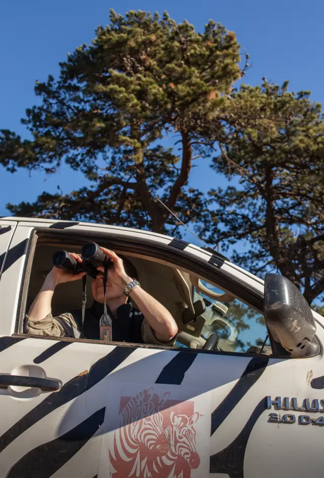 Australian Wildlife Viewing