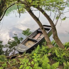 梅花湾山庄 User Photo