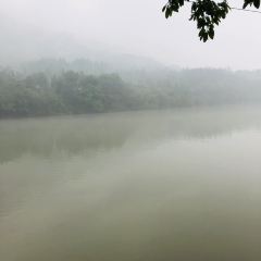 新月鱼馆民宿 User Photo