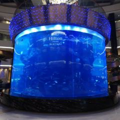 Hilton Foshan OPEN All-Day Dining Restaurant ảnh của người dùng