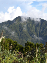 Mount Dulang-Dulang