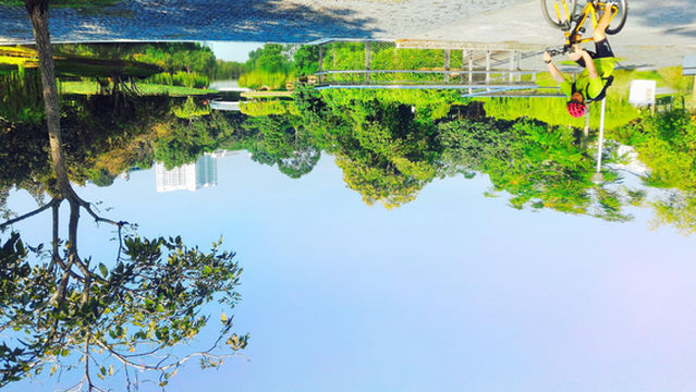 Bishan-Ang Mo Kio Park
