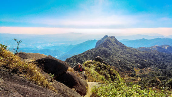 Mt. Yunji Nature Reserve