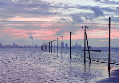 江川海岸潮干狩場