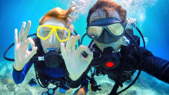 Bohol : Expérience de plongée sous-marine à Momo Beach | avec transfert aller-retour/Équipement de plongée fourni/Photographie sous-marine