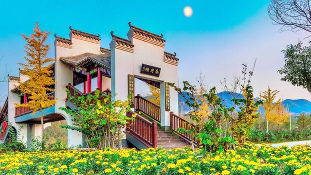 Western Evergreen Liuxian Valley