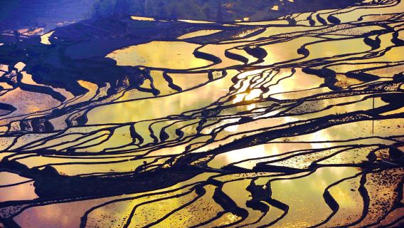 中国雲南元陽ハニ族棚田ワンデーツアー【建水出発(入場チケット・食事なし)】