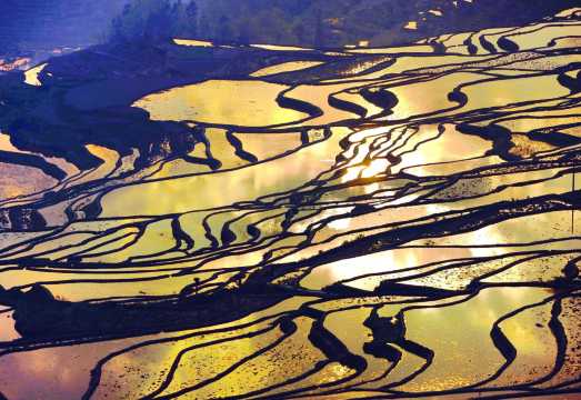 1-day tour to Yuanyang Hani Terrace in Yunnan, China [Departing from Jianshui (admission ticket and meals not included)]
