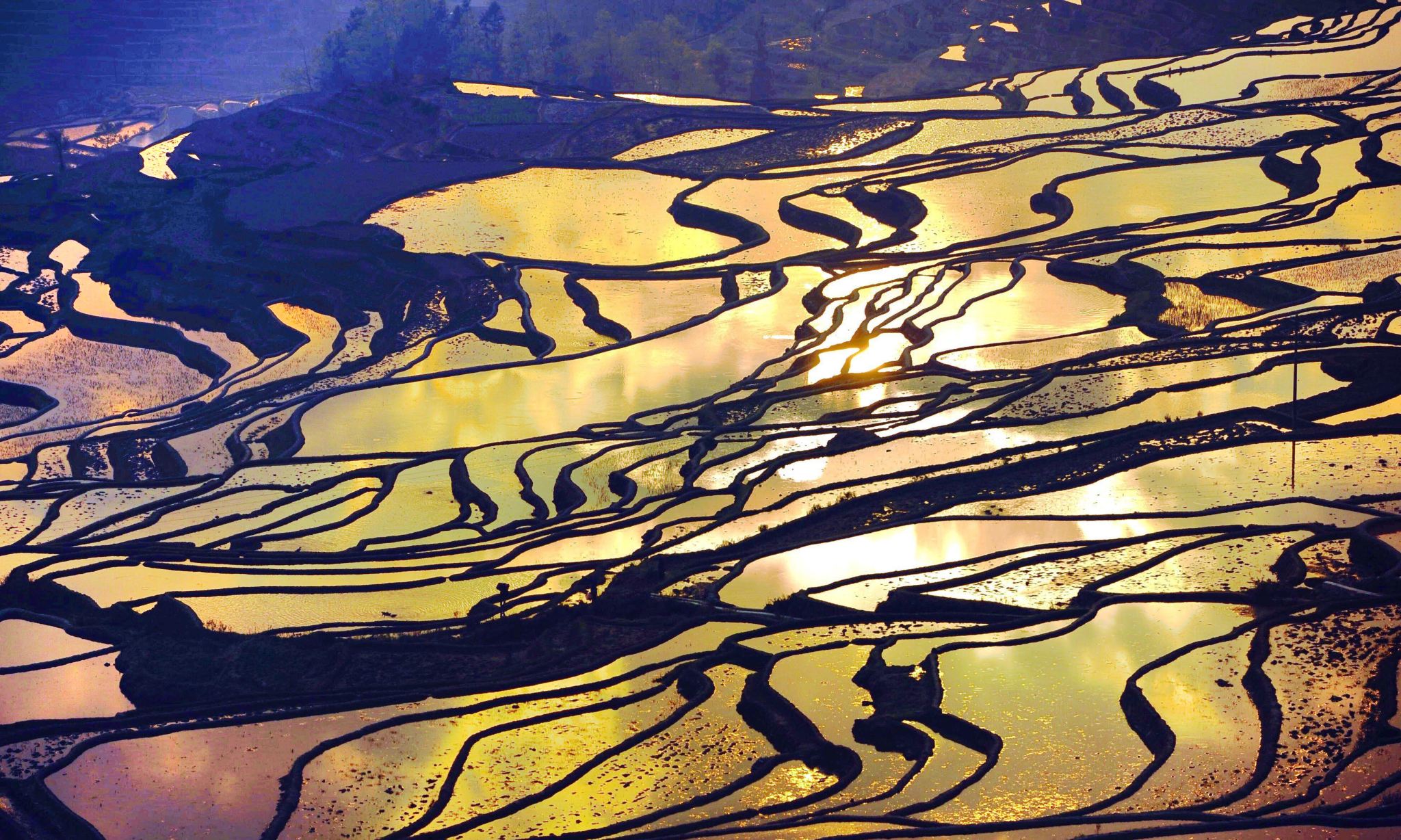 中國雲南元陽哈尼梯田一日遊【建水出發（不含門票、用餐）】