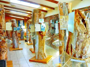 Puerto natales Museum