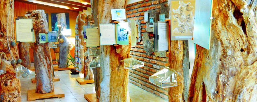 Municipal Historical Museum