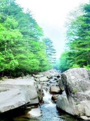 퉁톈허/통천하 국립삼림공원