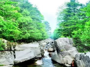 通天河國家森林公園