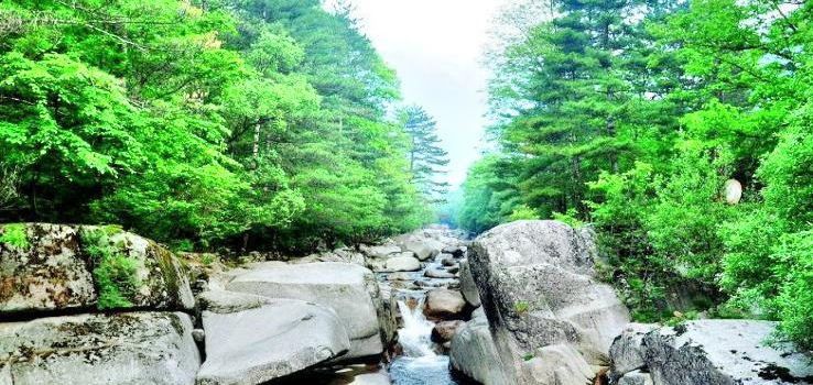 Tongtianhe National Forest Park (South Gate)