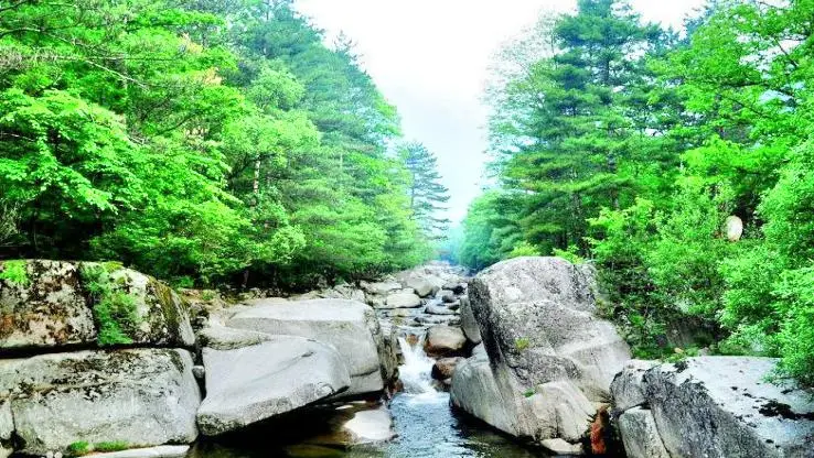 Национальный лесной парк Туньчэнь