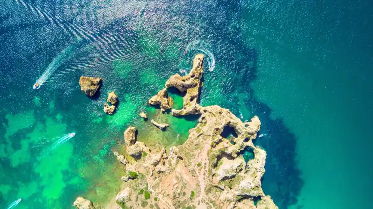 Faro