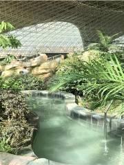 西部恐竜水楽園室内温泉館