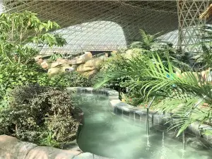 West China Dinosaur Water Park Indoor Spa