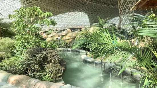 西部恐竜水楽園室内温泉館