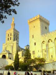 Notre Dame des Doms d'Avignon