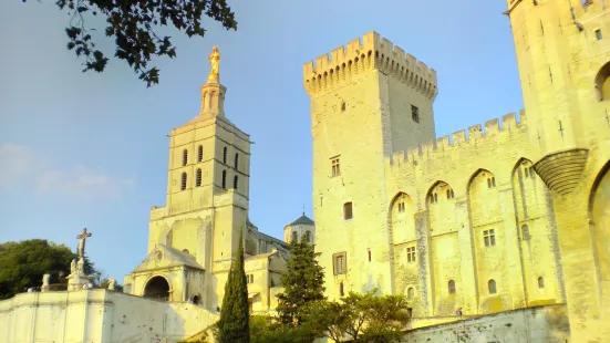 Avignon Cathedral