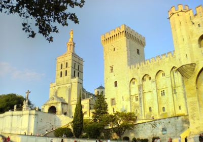 Kathedrale von Avignon