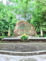 雷瓊海口火山群世界地質公園