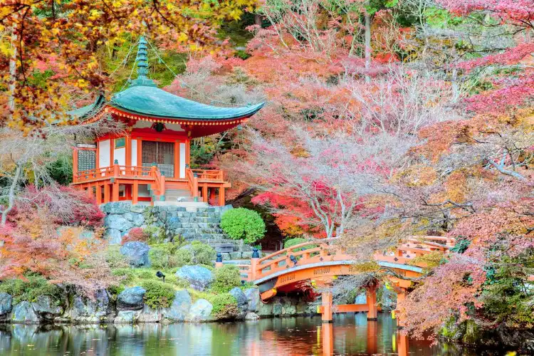 Hotels near Japan Oni Cultural Museum