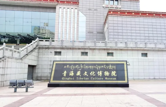 青海藏文化博物院南館（藏文化主題）＋《中國藏族文化藝術彩繪大觀》下部特展套票（含北館免預約服務）成人