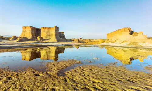 Datong Clay Forest