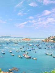 Gouqi Island Sea Fishing