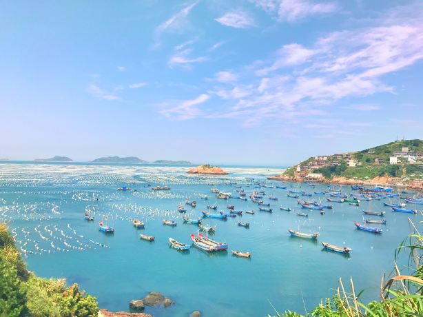 Sea Fishing in Zhoushan