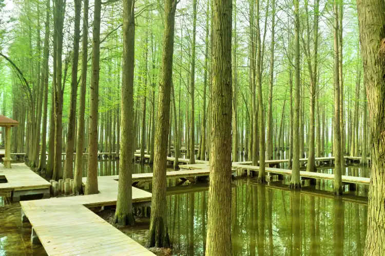 Các khách sạn gần Lizhong Water Forest Park