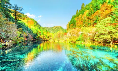 Five Coloured Pool