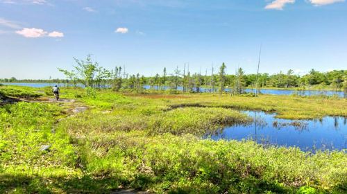 Torrance Barrens Dark-Sky Preserve